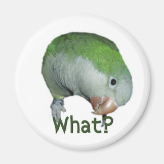 What? Magnet