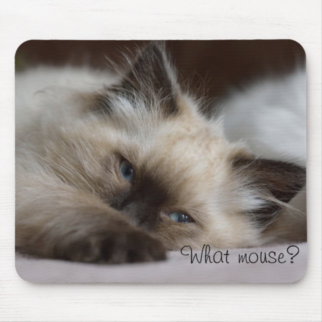 What mouse, mouse pad (Front)