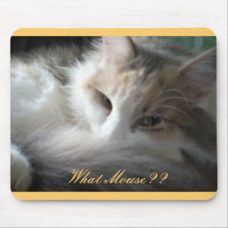 What Mouse?? Mouse Pad