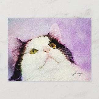 What Mouse? Postcard