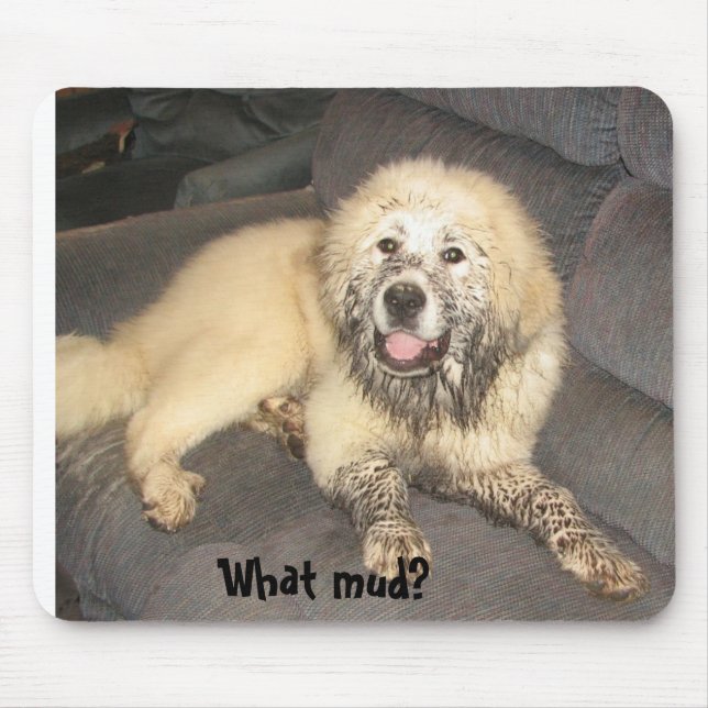 What Mud? Mouse Pad (Front)