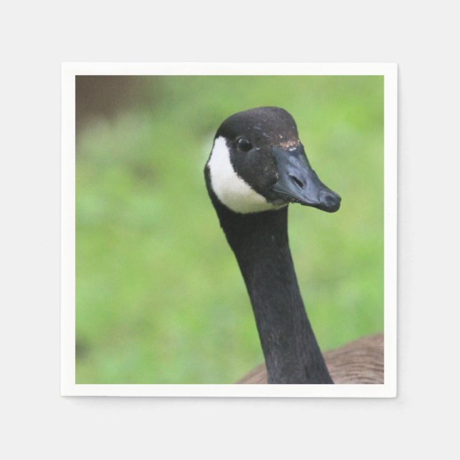 What? Napkin (Front)