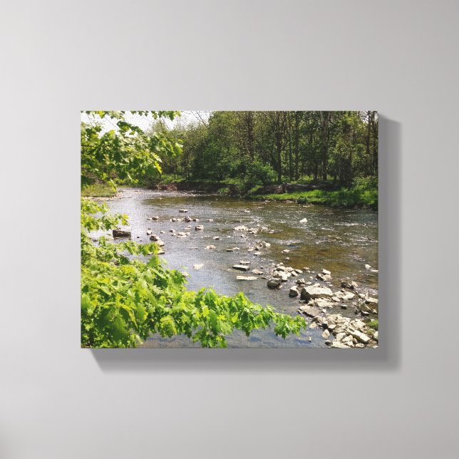 What Nature Provides Canvas Print (Front)