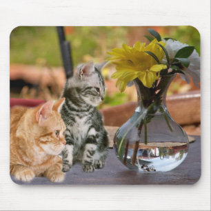 What No Fish? Mousepad
