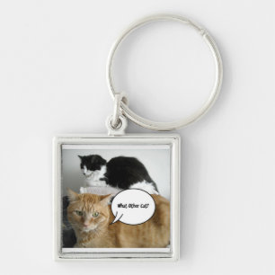 What Other Cat?/Orange Tabby Humour Keychain