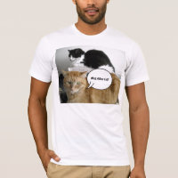 What Other Cat?/Orange Tabby Humour
