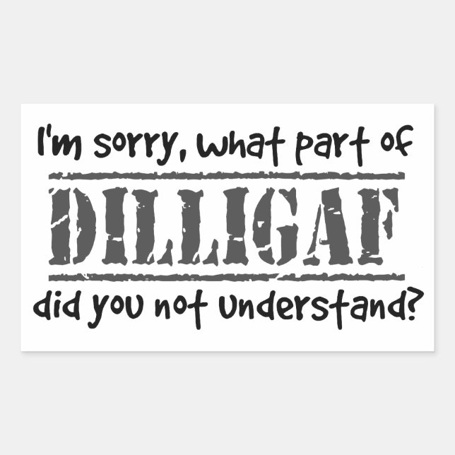 What part of DILLIGAF did you not understand? Sticker (Front)