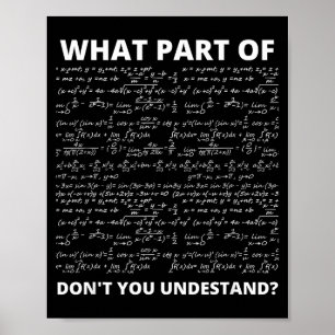 What Part Of Don't You Understand_ Funny Math Equa Poster