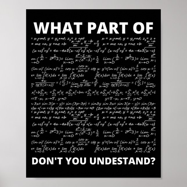 What Part Of Don't You Understand_ Funny Math Equa Poster (Front)