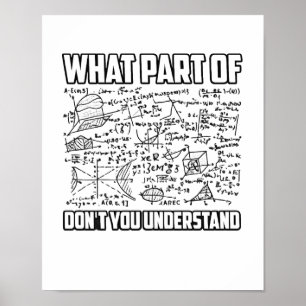 What Part Of Don't You Understand? Funny Math  Poster