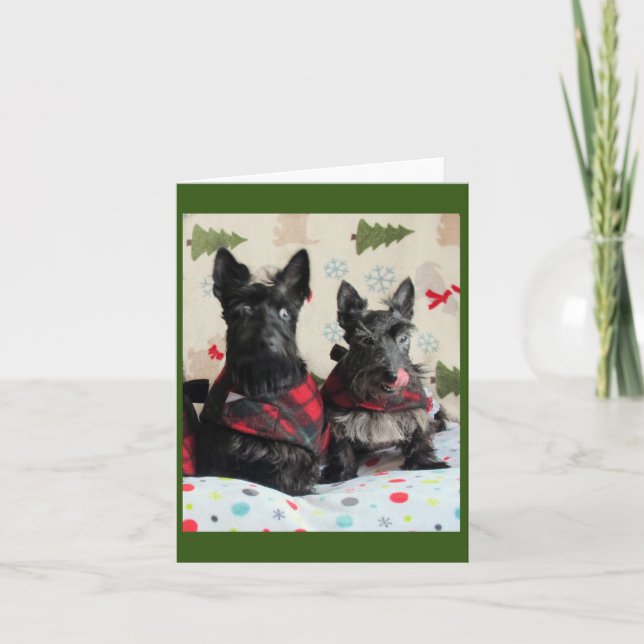 What Reindeer? Card (Front)