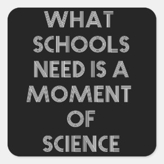 What schools need is a moment of science square sticker