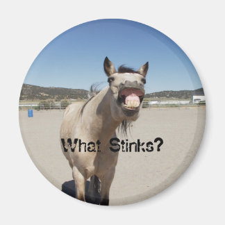 What Stinks? Magnet