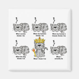 What The Cat Thinks Funny Magnet