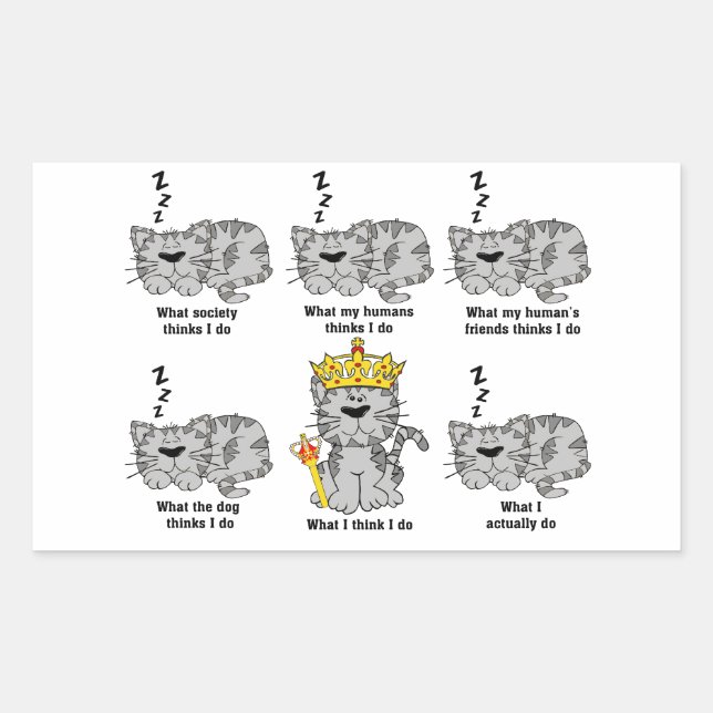What The Cat Thinks Funny Sticker (Front)