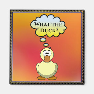 What the Duck? Magnet