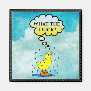 What the Duck? Magnet