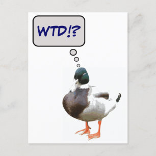 What The Duck WTD Funny Postcard