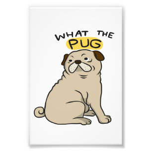 What The Pug Cute Fat Pug Photo Print