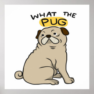 What The Pug Cute Fat Pug Poster
