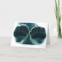 What They Saw Beneath the Ice