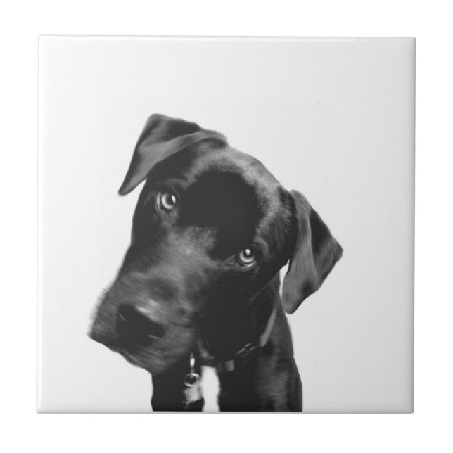 What? Tile (Front)