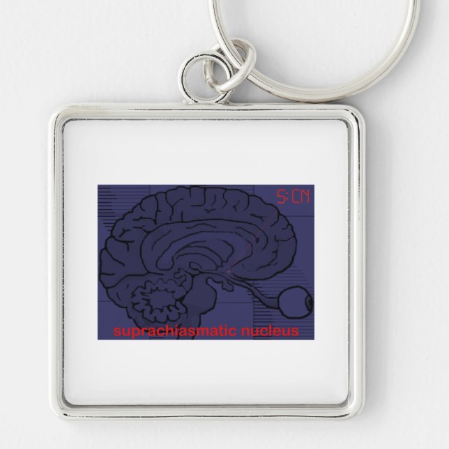 What time is it? Ask my SCN Keychain (Front)