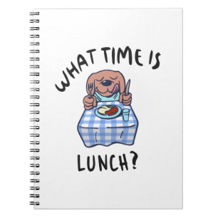 What time is lunch notebook