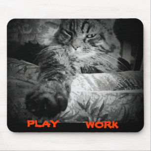What to do online today. Cat Says Play Mouse Pad