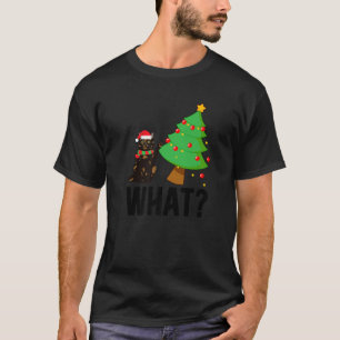 What Tortie Cat Christmas Tortoiseshell Cat Xmas P T-Shirt