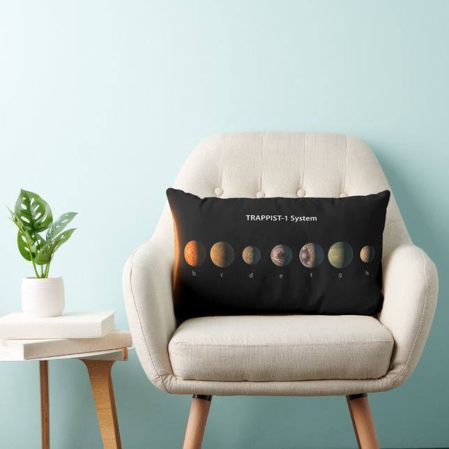 What Trappist-1's Seven Planets Might Look Like. Lumbar Pillow (Chair)