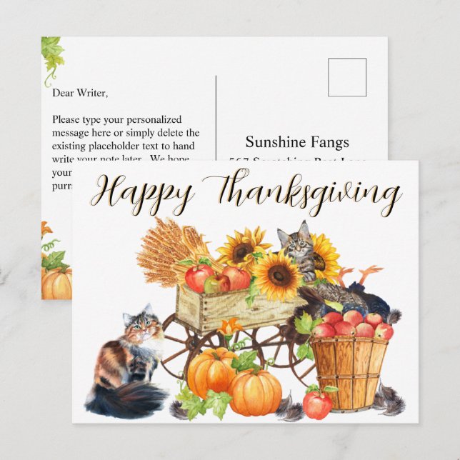 What Turkey?  Innocent Cats, Happy Thanksgiving, P Postcard (Front/Back)
