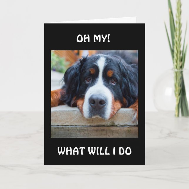 WHAT WILL I DO "WITHOUT YOU?" CARD (Front)