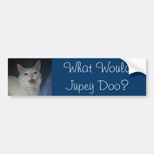 What Would Jupey Doo? #2 Bumper Sticker (Front)