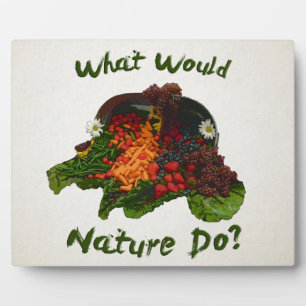 What Would Nature Do Plaque