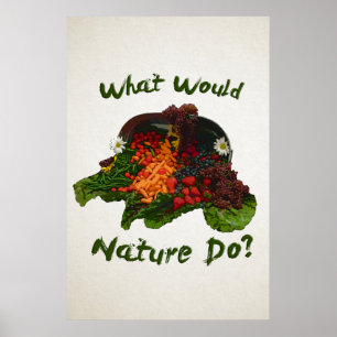 What Would Nature Do Poster