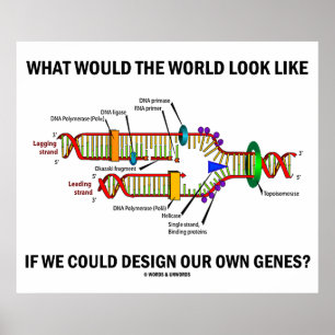What Would The World Look Like Design Our Genes? Poster