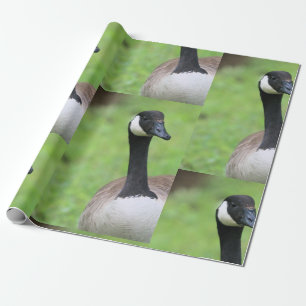 What  wrapping paper