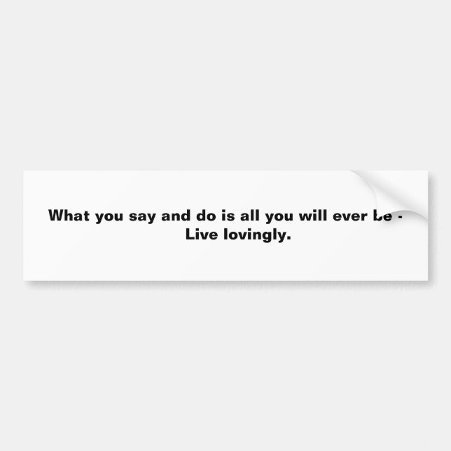 What you say and do is all you will ever be -  ... bumper sticker (Front)