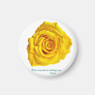 What you seek is seeking you. magnet