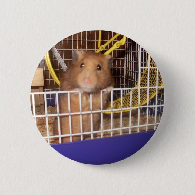 whatca lookin at 2 inch round button (Front)