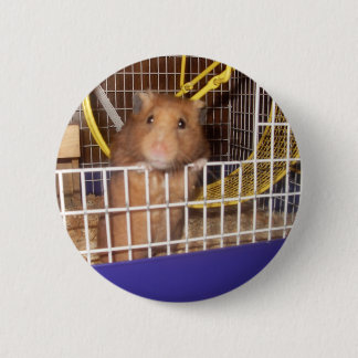 whatca lookin at 2 inch round button