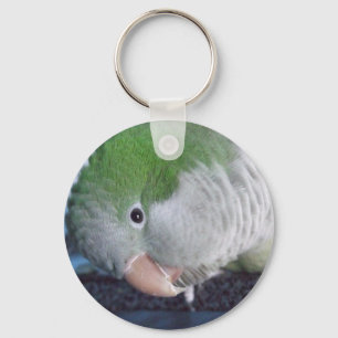Whatcha Doin'? Quaker Parakeet Keychain