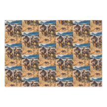 Whatcom county outdoors set