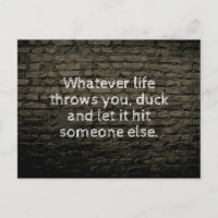 Whatever life throws you joke