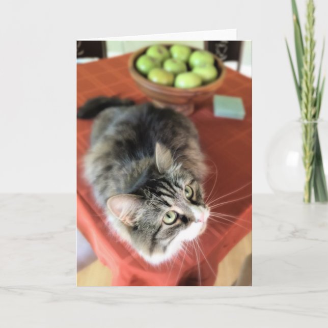 What's a Still Life? Siberian Cat Note Cards (Front)
