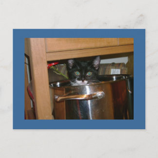 What's Cookin'? Postcard