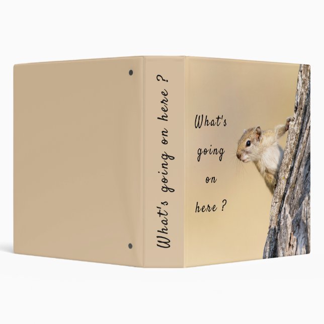 What's going on here squirrel photo with text binder (Background)