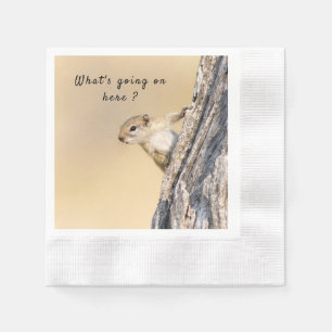 What's going on here squirrel photo with text napkin