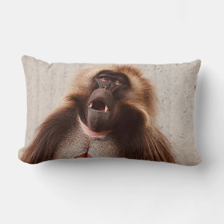 What's going on lumbar pillow